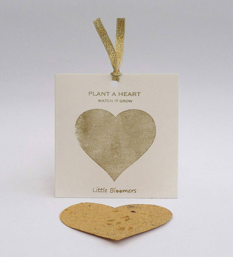 little bloomers plantable favours by plant a bloomer